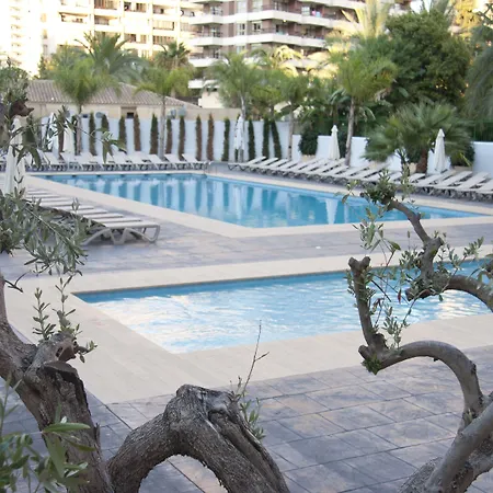 Flash - Recommended Adults Only 4 Sup 4* Benidorm